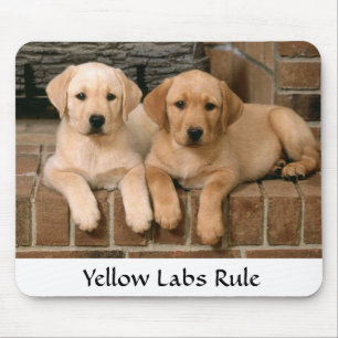 Labrador Retrivers Rule Puppies Mousepad Musmatta