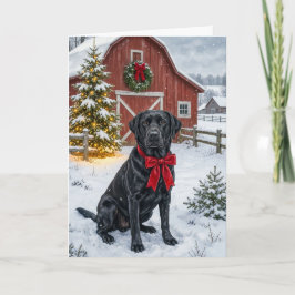 Labrador Semester Helgkort