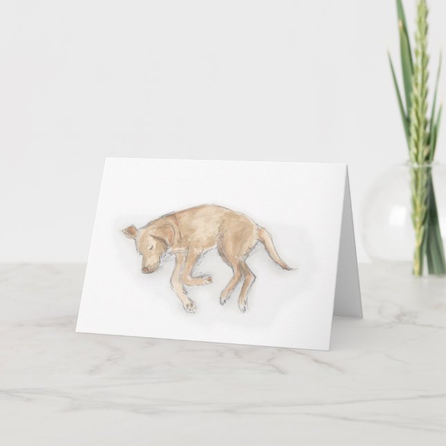 Labrador-sovkort Kort (Framsida)