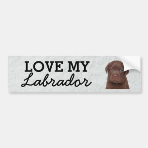 Labrador-stötdekal Bildekal