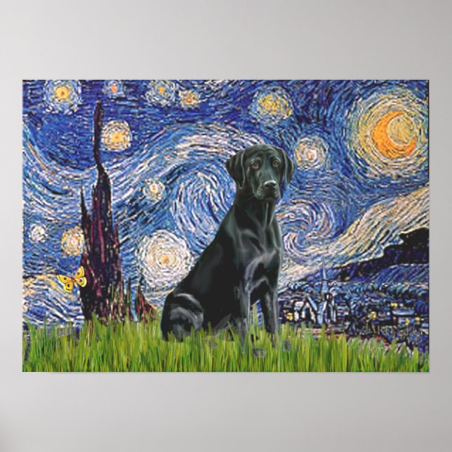 Labrador (svart) - Stjärnkväll Poster (Framsidan)