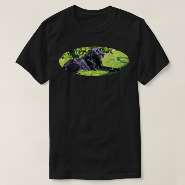 labrador t shirt (Design framsida)