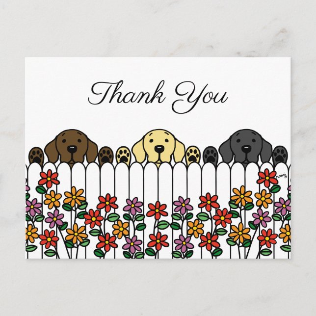 Labrador Trio tittar på ditt Tack vykort (Framsida)