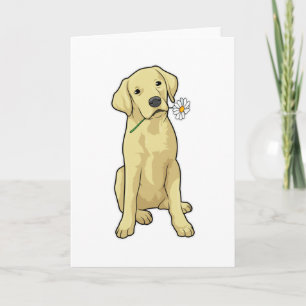 Labrador Tusenskönor Kort