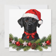Labrador Välkomstkort