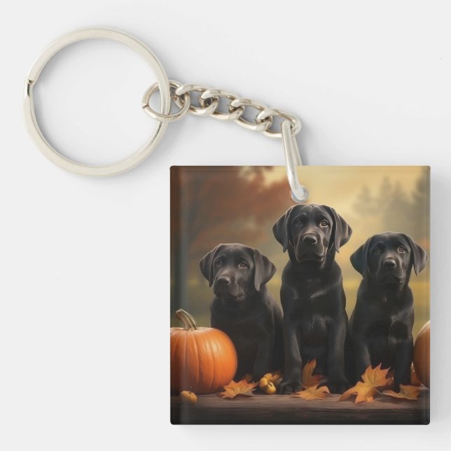Labrador Valp Höstglädje Pumpa  (Framsidan)