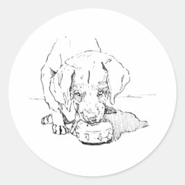 Labrador Valp Hund Klistermärke, Runt Klistermärke