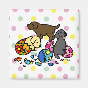 Labrador valpar från äggpolka dots magnet