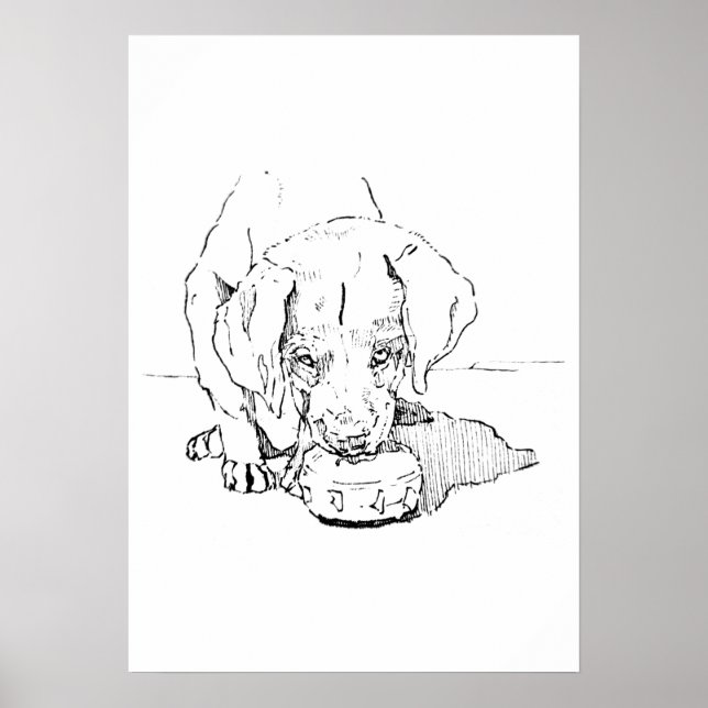 Labrador Valpkunst, Minimalistisk Teckning Poster (Framsidan)