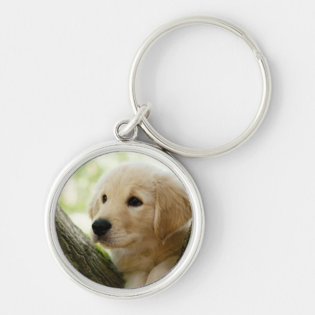 Labrador valpsitta i en skogsmarkinställning rund silverfärgad nyckelring (Framsidan)