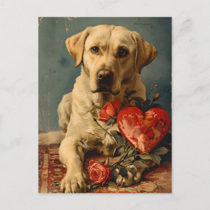 Labrador Vintage Valentines dag Vykort