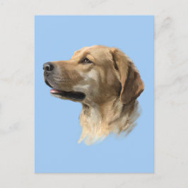 Labrador Vykort