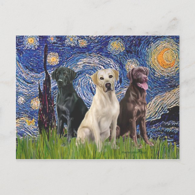 Labradorer (3) - Stjärnkväll Vykort (Framsida)