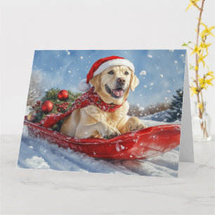 Labradorhund i släde Låt det snöa jul Kort