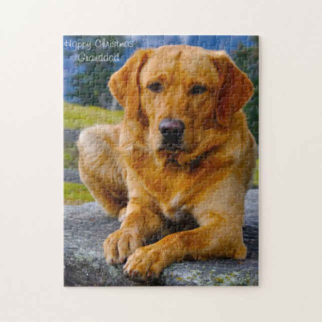 Labradorhund. Pussel (Vertikal)
