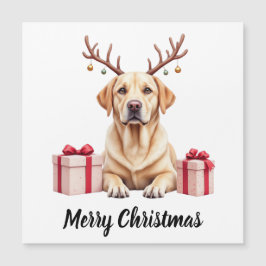 Labradorren <-->  should be