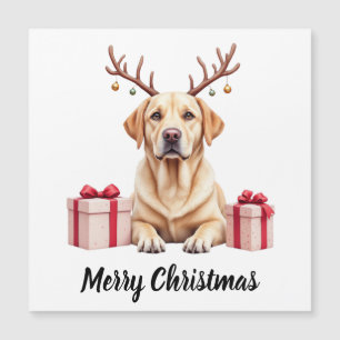 Labradorren <--> should be