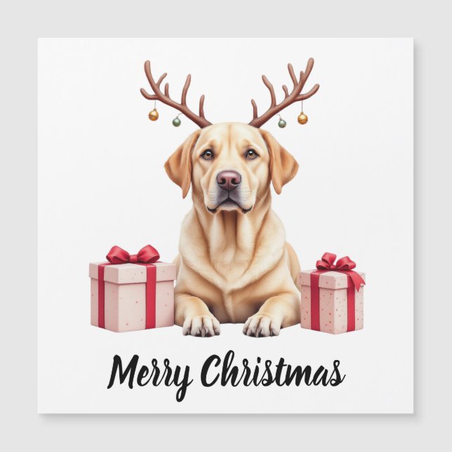 Labradorren <-->  should be (Framsida)