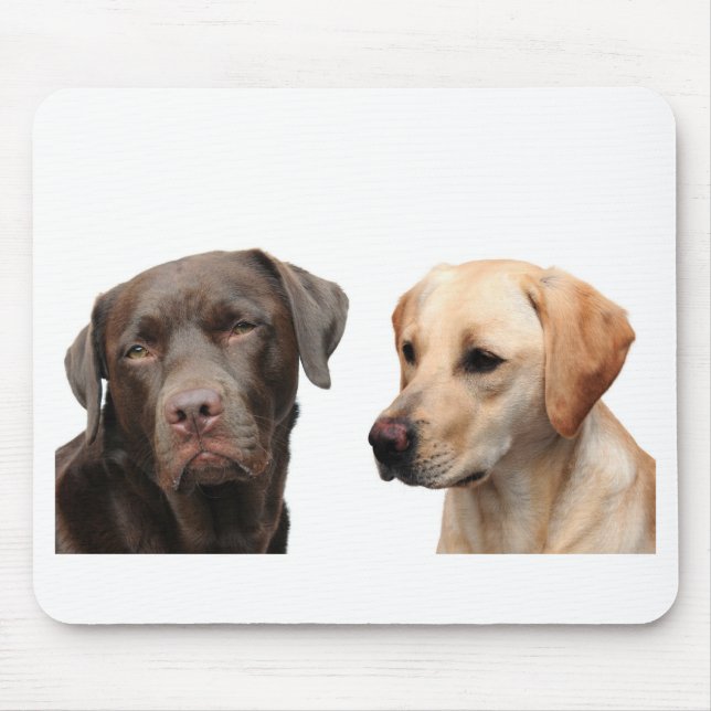 labradors musmatta (Framsidan)