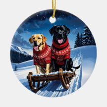 Labradors Sled Ride jul