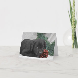 Labradovalp med julkrans anteckningskort