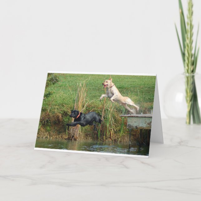 Labs Kort (Framsida)