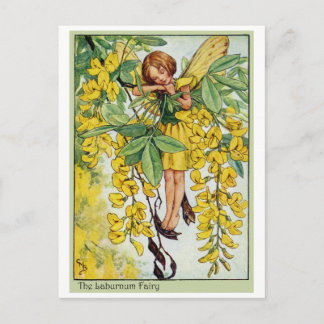 Laburnum Fairy Vykort
