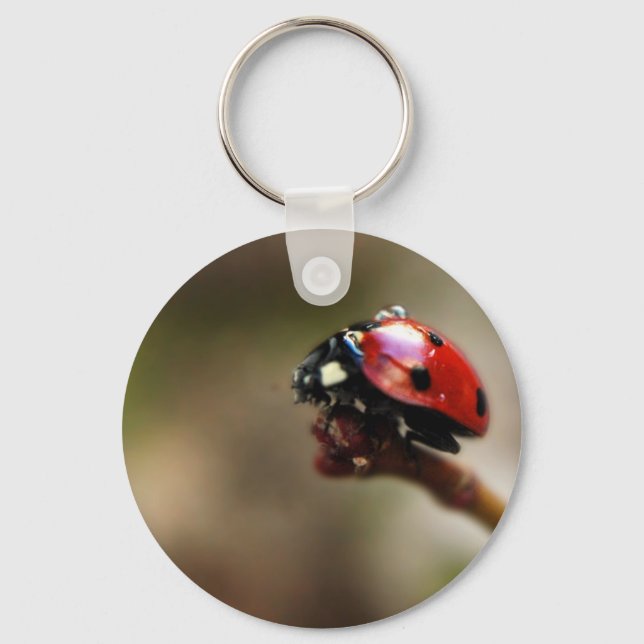 LABYBIRD NYCKELRING (Framsida)