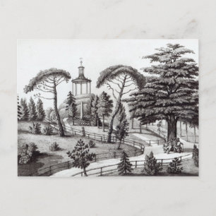 Labyrint från Jardin des Plantes Vykort
