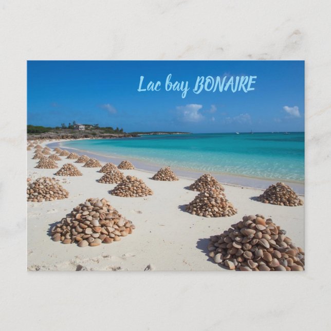 Lac bay bonaire vykort (Framsida)