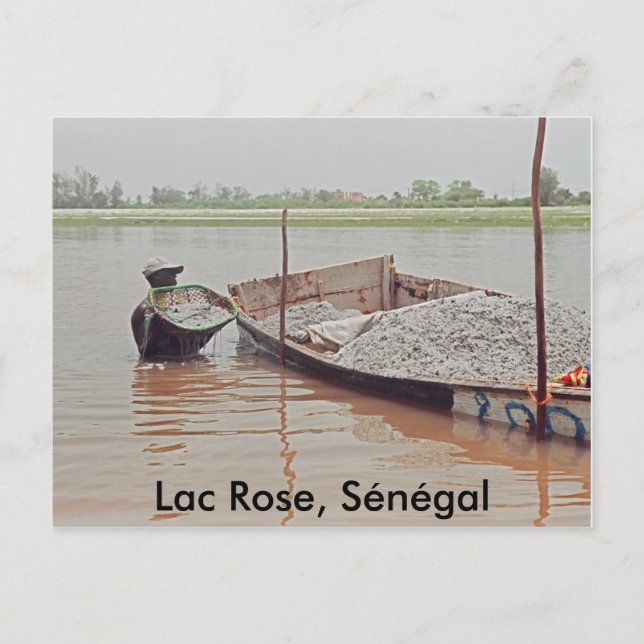 Lac Ro, Sénégal Vykort (Framsida)
