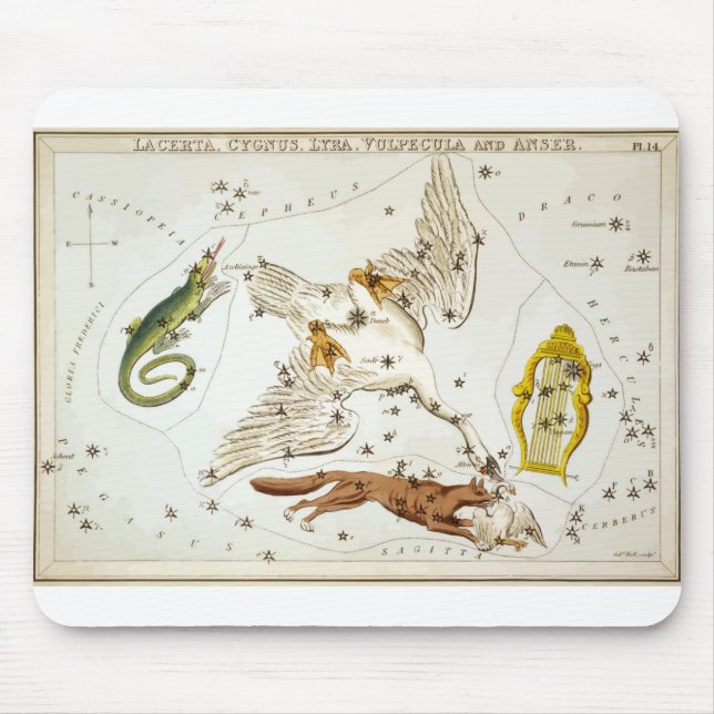 Lacerta - Constellation - Horoscope - Zodiac Musmatta (Framsidan)