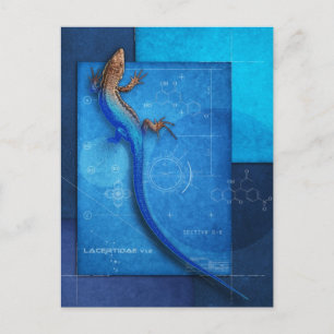 Lacertidae v1.2 vykort