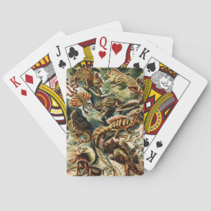 Lacertilia Lizards av Ernst Haeckel Casinokort
