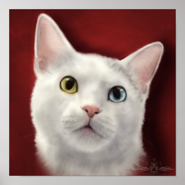 Lacey Poster (Framsidan)