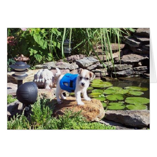 Lacey the Lifeguard Hälsningskort (Framsidan Horizontal)