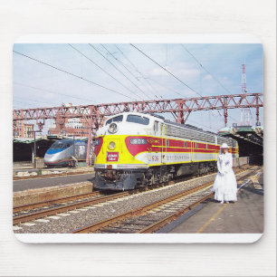 Lackawant Railroad och Miss Phoebe Snö Musmatta