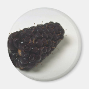 Läcker björnbär magnet