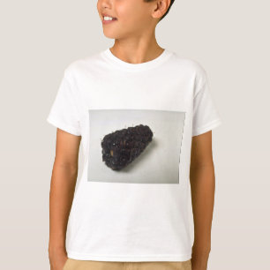 Läcker björnbär tee shirt
