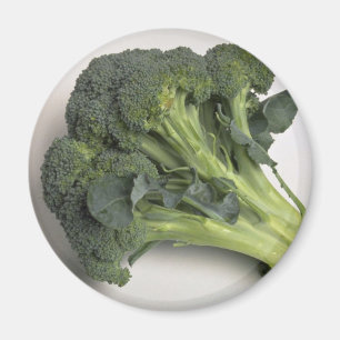 Läcker broccoli magnet