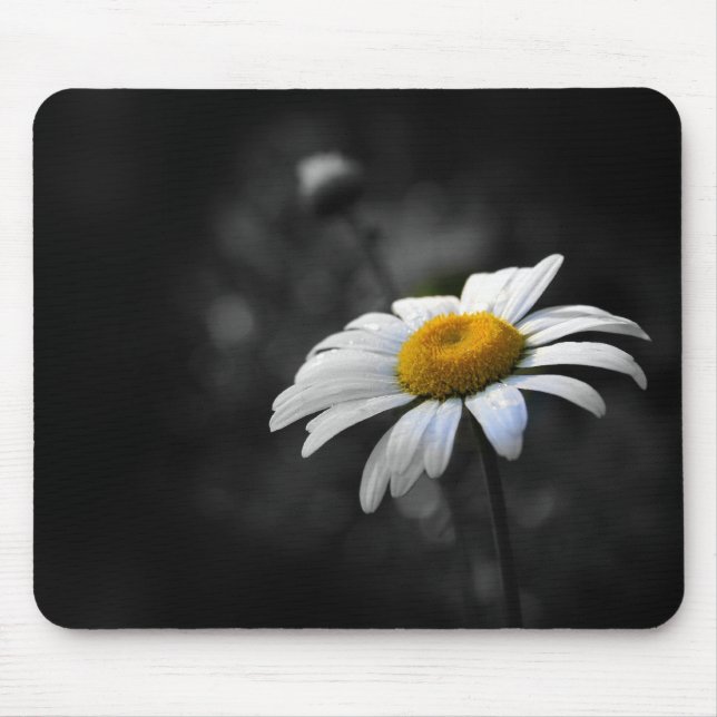 Läcker daisy musmatta (Framsidan)
