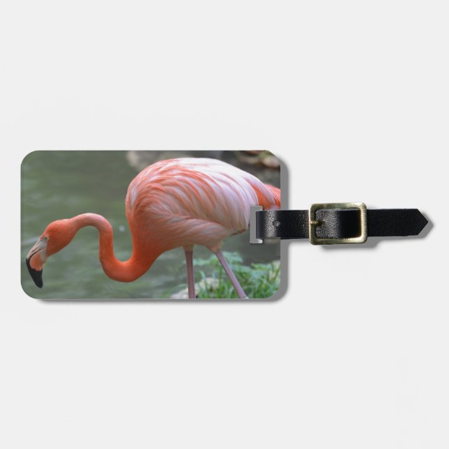 Läcker Flamingo Bagagebricka (Horisontell Framsida)