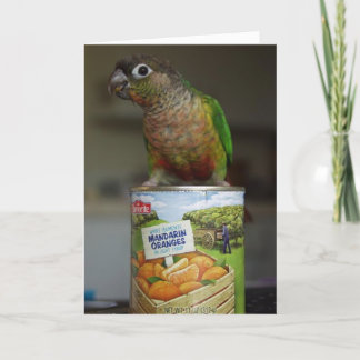 läcker mandarin kort