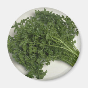 Läcker Parsley Magnet