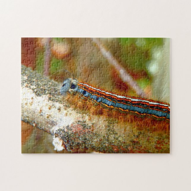 Lackey Moth Caterpelare Photo Puzzle med Gift Box Pussel (Horisontell)