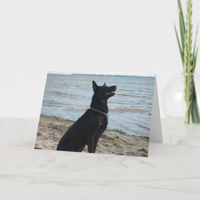 Lacquer Black German Shepherd Kort (Framsida)