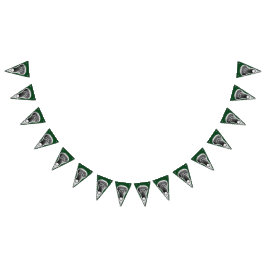 Lacrosse Party Vimplar