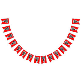 Lacrosse Party Vimplar