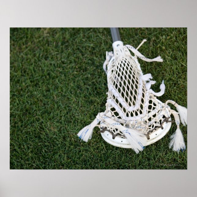 Lacrosse stick på gräs poster (Framsidan)