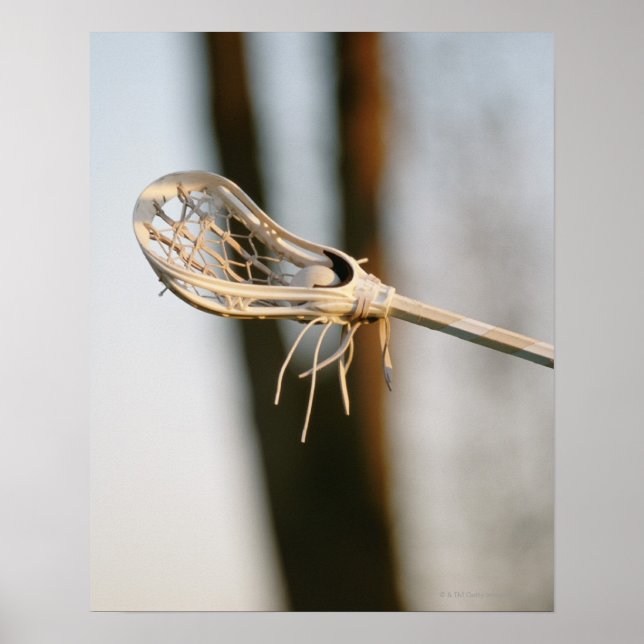 Lacrosse Stick Poster (Framsidan)